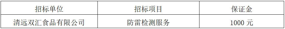 清远zoty中欧防雷检测服务.jpg
