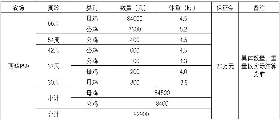 西华zoty中欧.jpg